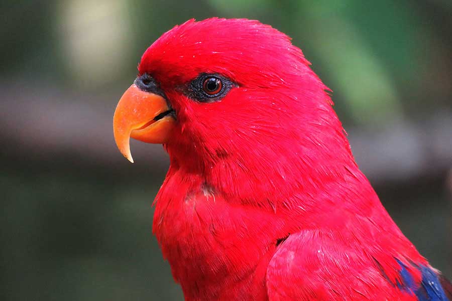 Down Payment Guide: How Much Should You Put Down?